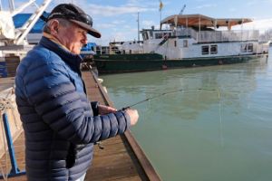 Vándorkagylók miatt kevés a hal a Balatonban?